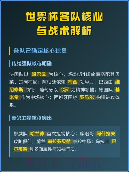 深度解析世界杯强队表现与战术分析